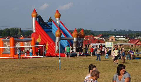 FPSS slide image